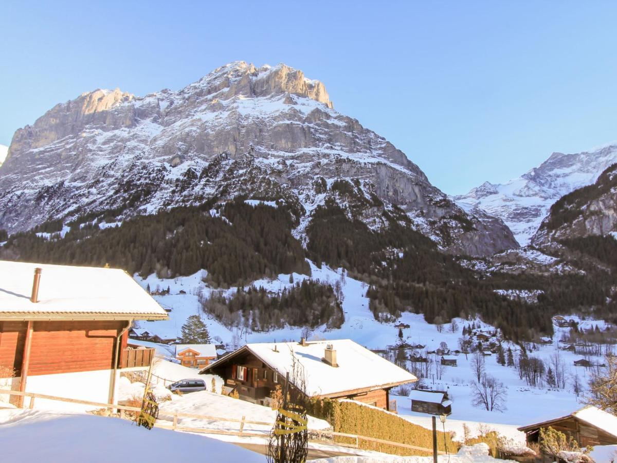 Apartment Chalet Almisraeba By Interhome Grindelwald Kültér fotó