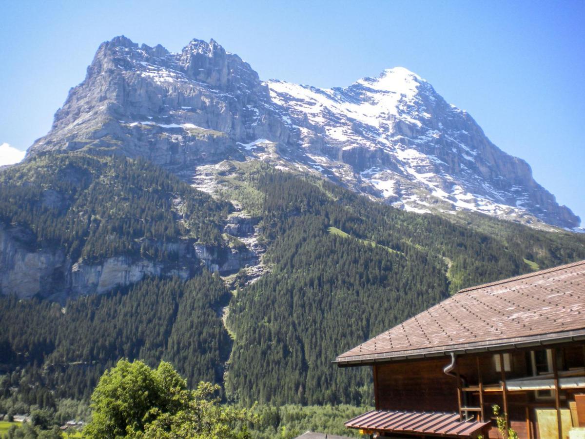 Apartment Chalet Almisraeba By Interhome Grindelwald Kültér fotó