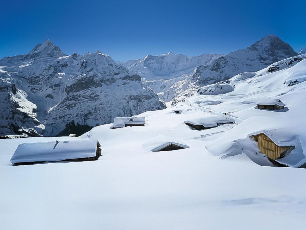 Apartment Chalet Almisraeba By Interhome Grindelwald Kültér fotó
