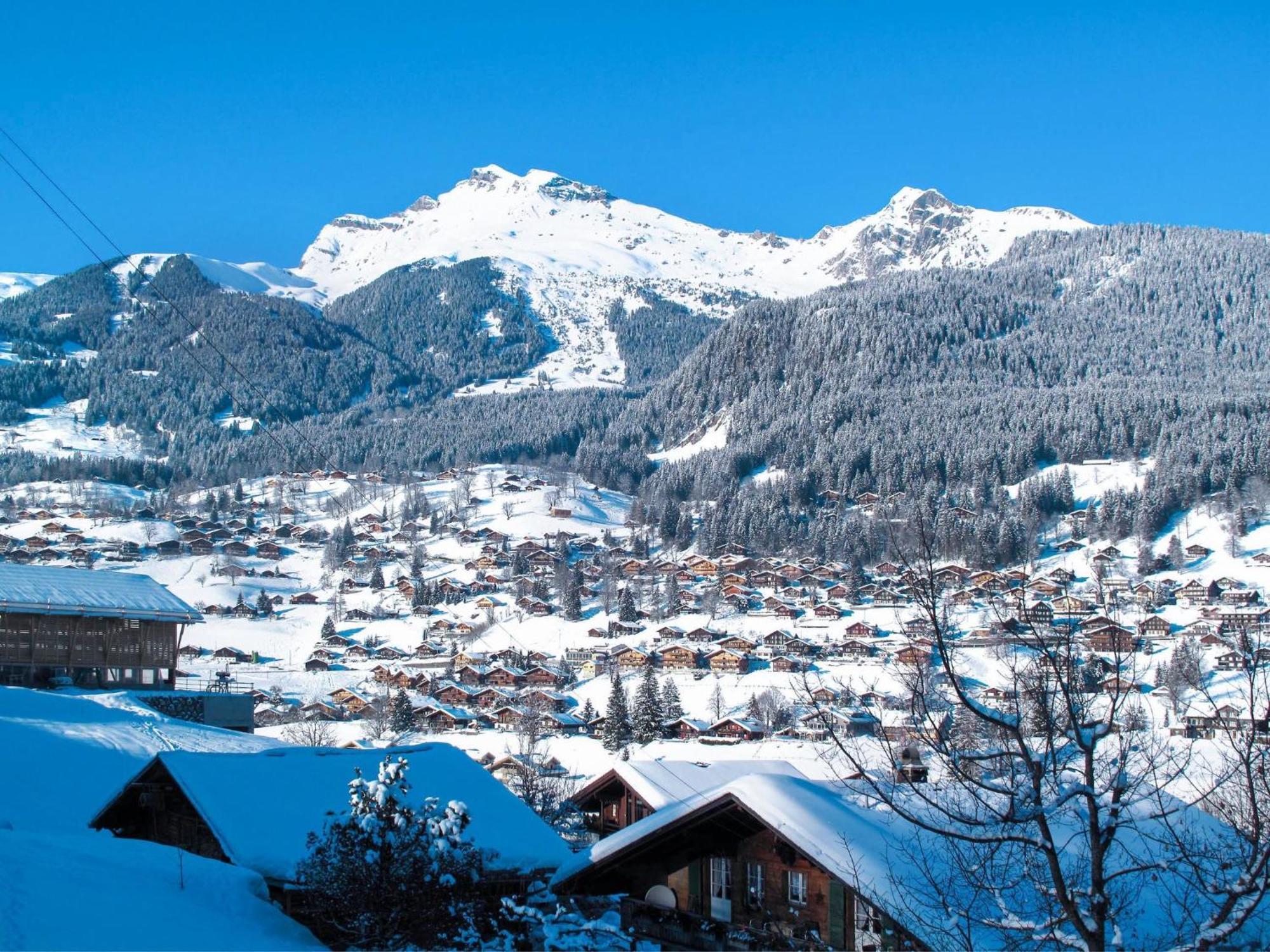 Apartment Chalet Almisraeba By Interhome Grindelwald Kültér fotó